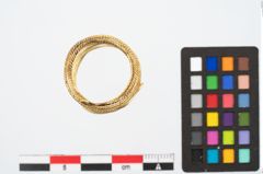 Foto von Goldspiralring (NHMW-PRAE-024767)